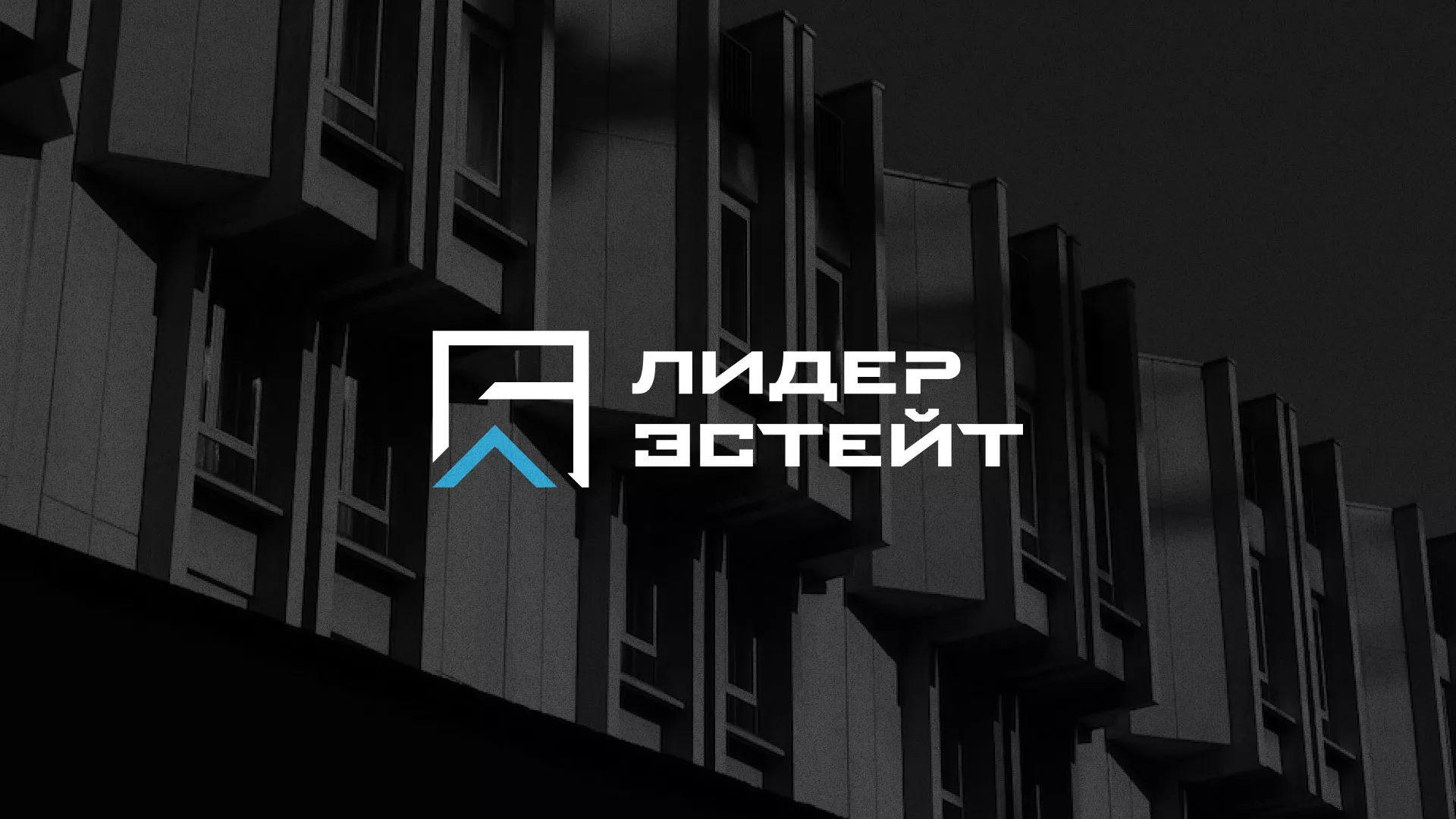 Разработка логотипа агентства недвижимости «Лидер Эстейт» в Новоалтайске