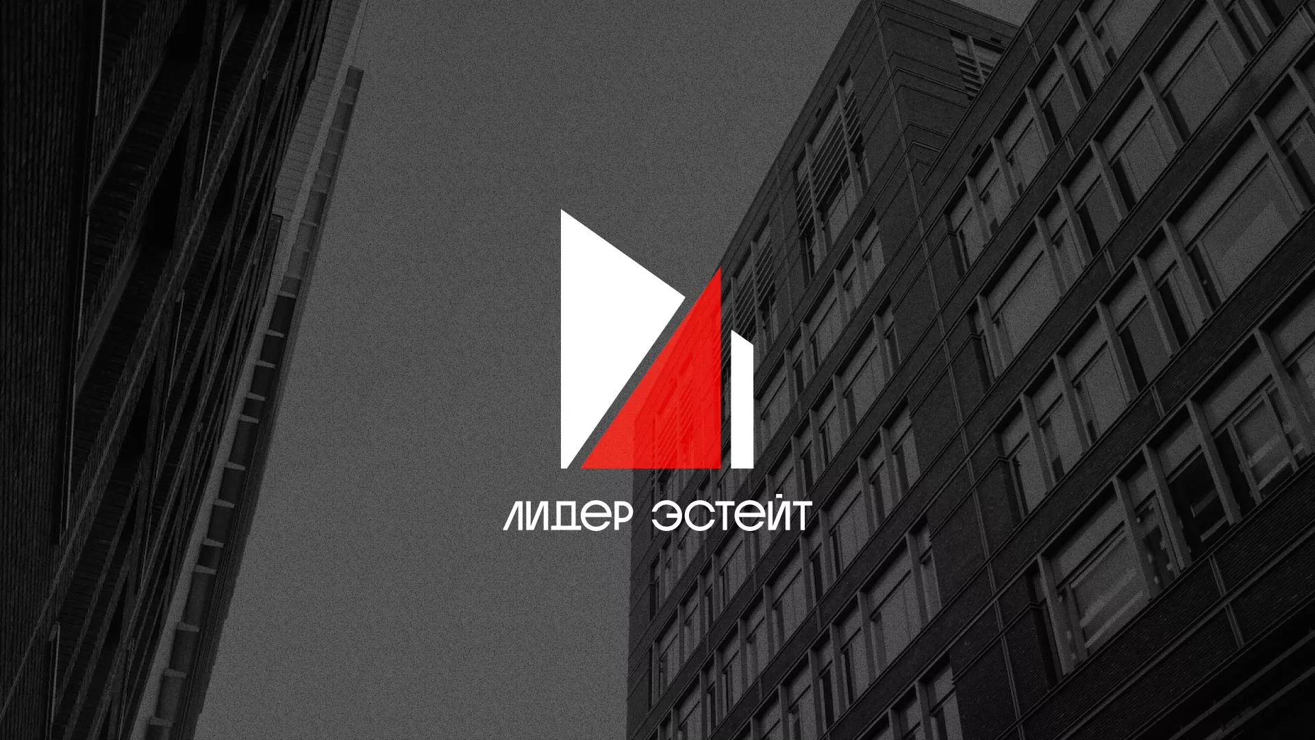 Сделали логотип для агентства недвижимости «Лидер Эстейт» в Новоалтайске
